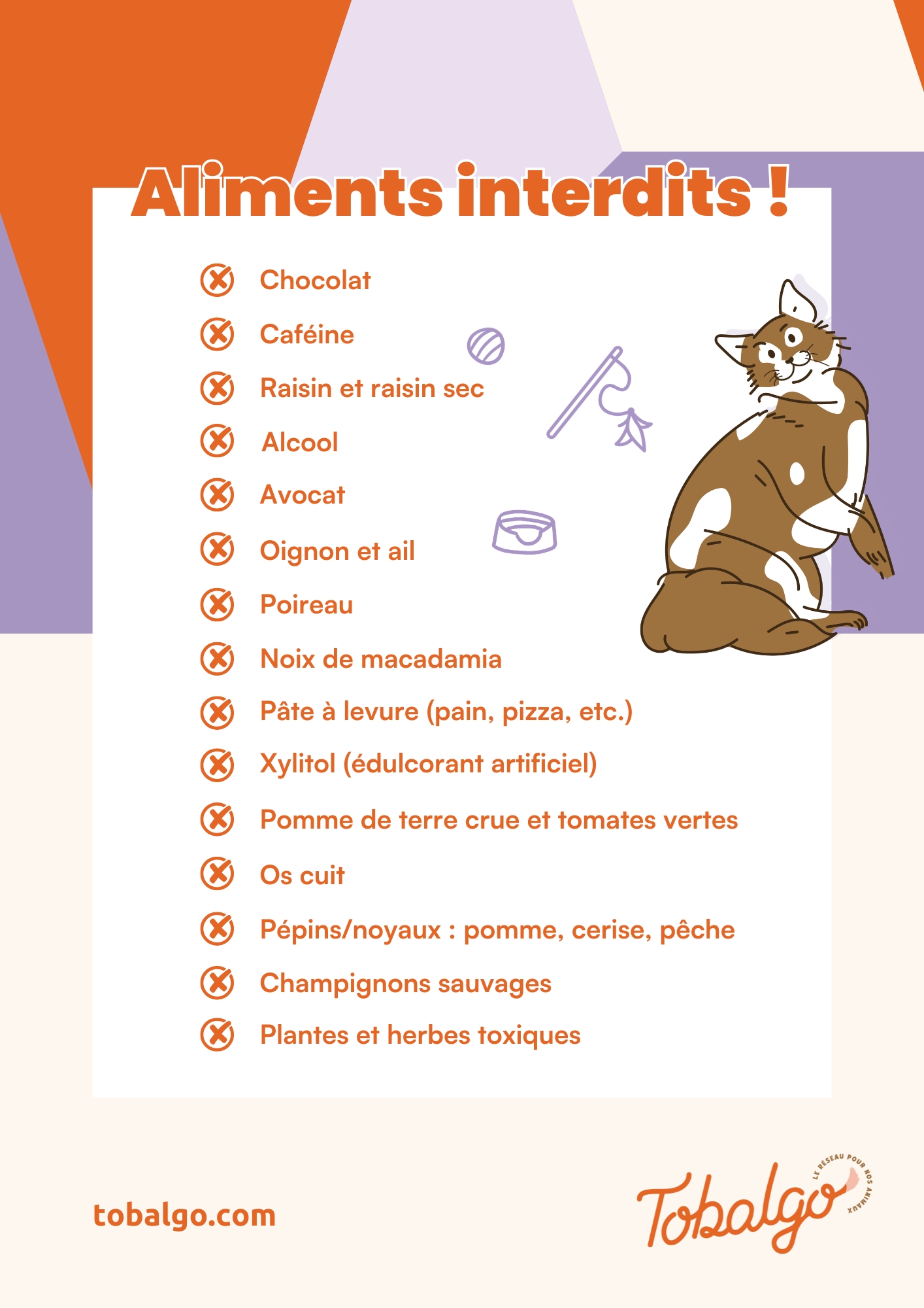 liste aliments toxiques chats.jpg